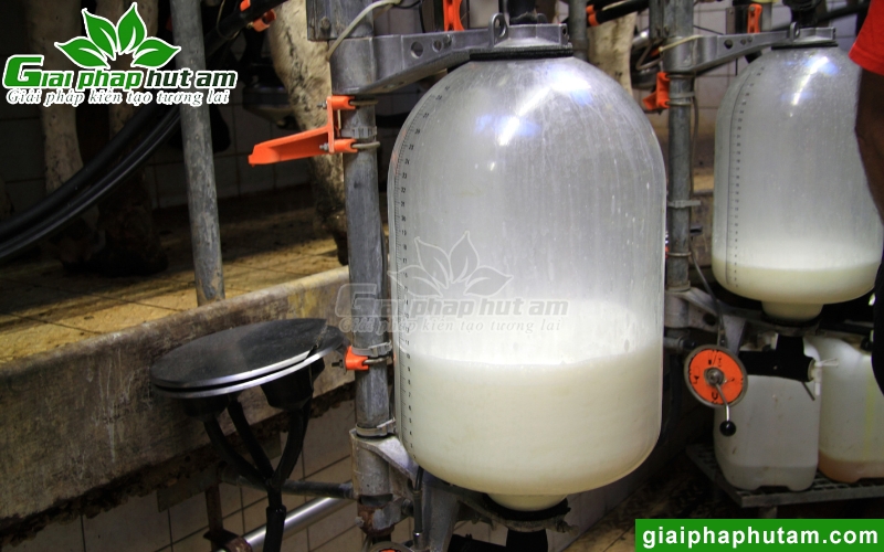 Máy hút ẩm cho ngành sữa bảo quản nguyên liệu
