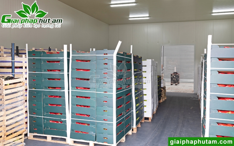 độ ẩm là yếu tổ quan trogn cần được kiểm soát trong nhà kho