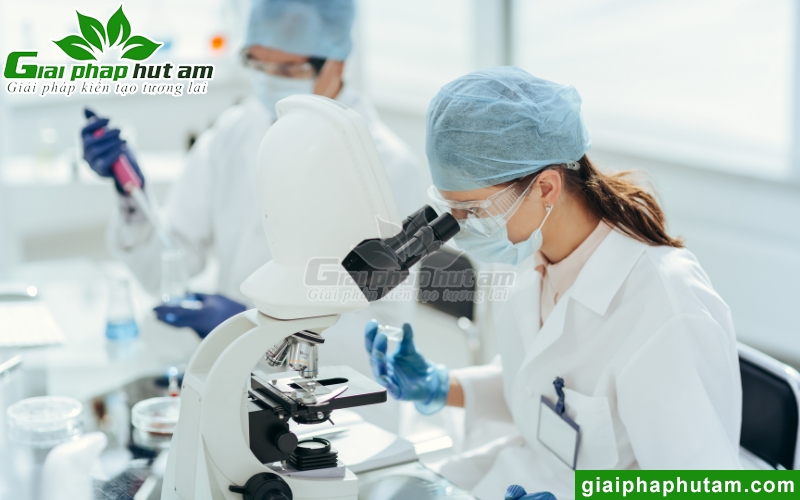 độ ẩm ảnh hưởng đến phòng thí nghiệm