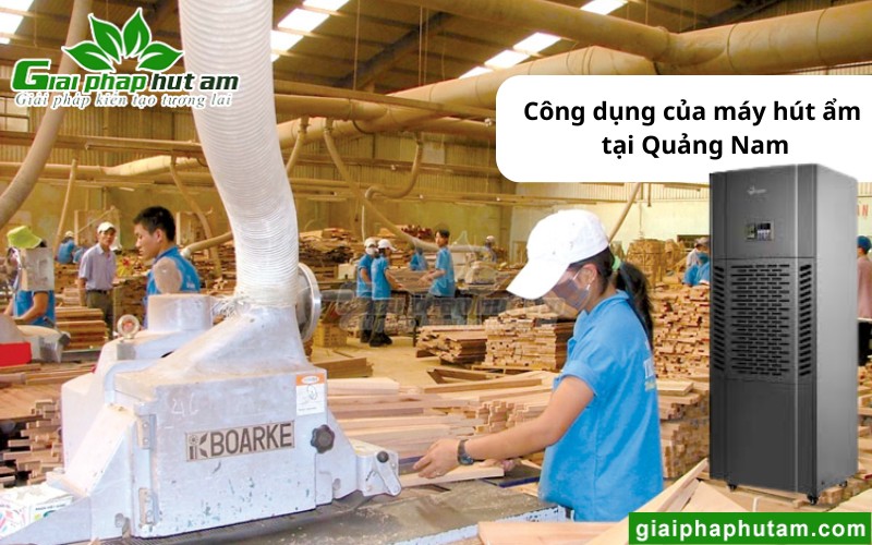 sử dụng Máy hút Ẩm Tại Quảng Nam trong chế biến lâm sản