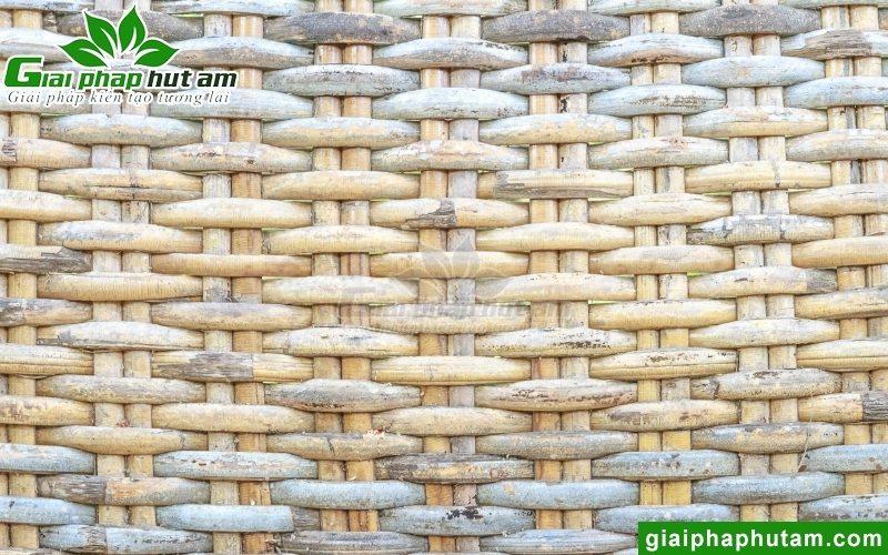 độ ẩm cao có thể làm mây tre bị mốc