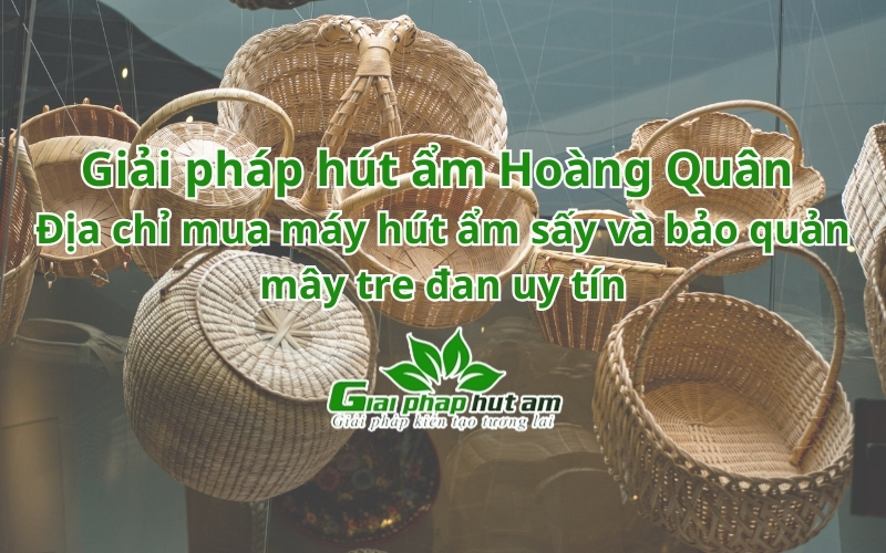 địa chỉ mua Máy hút ẩm sấy và bảo quản mây tre đan  uy tín