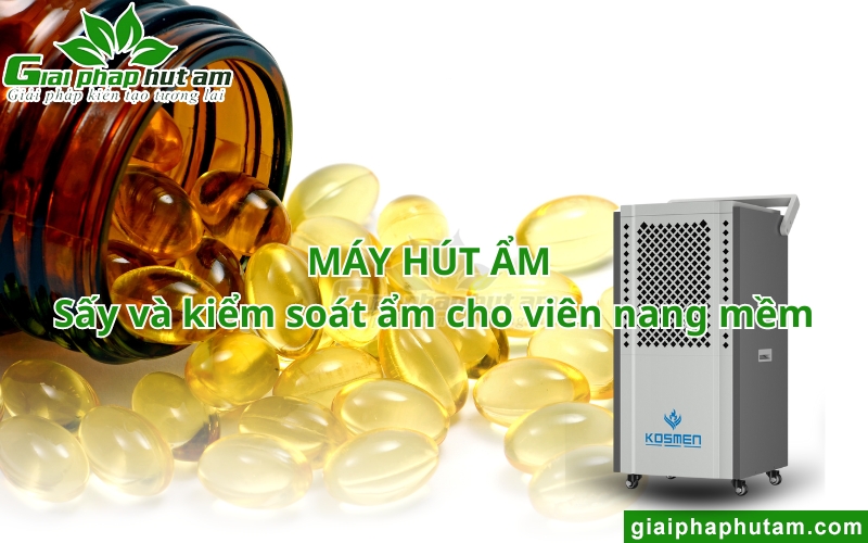 Máy hút ẩm sấy và kiểm soát ẩm cho viên nang mềm