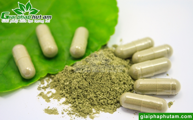 độ ẩm ảnh hưởng đến thuốc trong viên nang