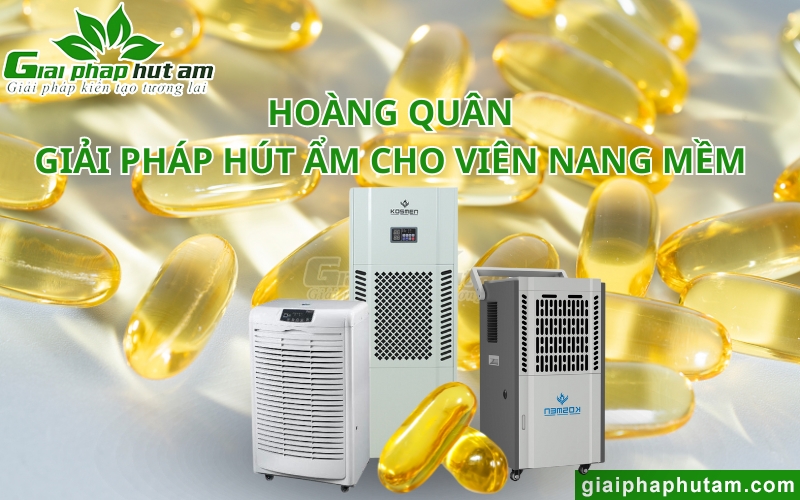 địa chỉ mua Máy hút ẩm sấy và kiểm soát ẩm cho viên nang mềm