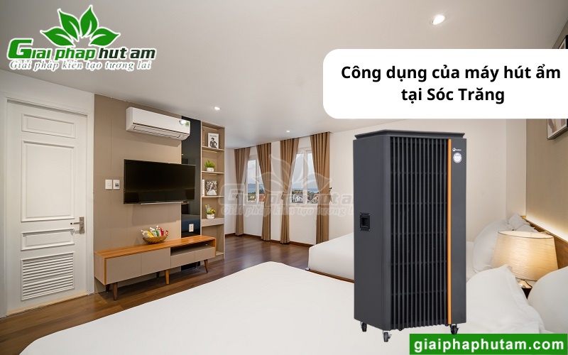 ứng dụng của máy hút ẩm tại Sóc Trăng trong du lịch
