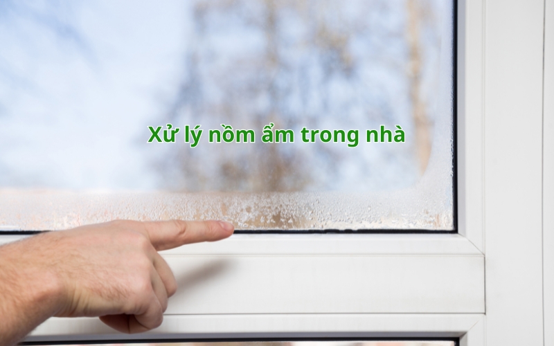 Máy Hút Ẩm Tại Bắc Giang xử lý ẩm mốc trong nhà