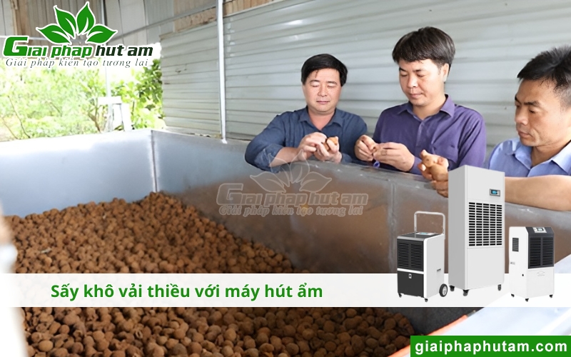 Máy Hút Ẩm Tại Bắc Giang sấy khô vải thiều