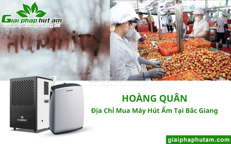địa chỉ mua Máy Hút Ẩm Tại Bắc Giang