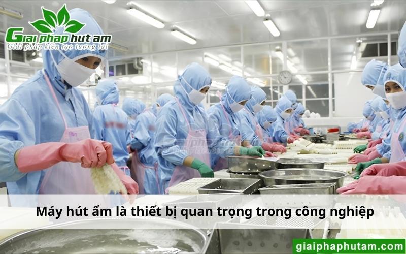 Máy hút ẩm tại Vũng Tàu