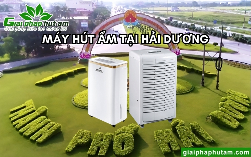 Máy Hút Ẩm Tại Hải Dương