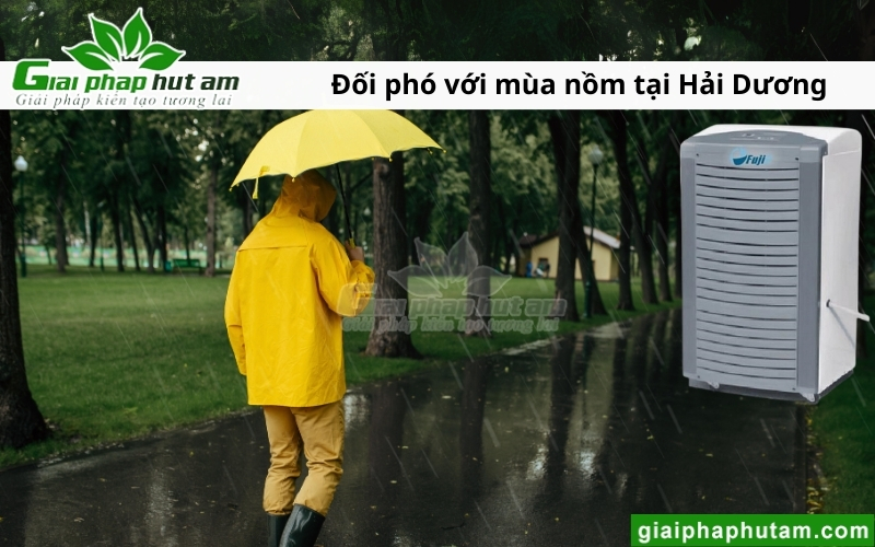 sử dụng Máy Hút Ẩm Tại Hải Dương trong mùa nôm