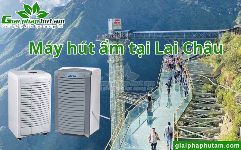 Máy Hút Ẩm Tại Lai Châu