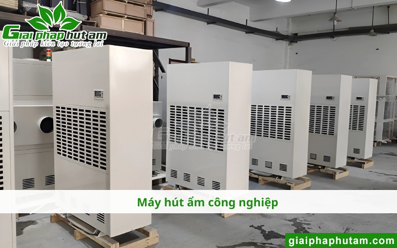 Máy Hút Ẩm Tại Lai Châu sử udngj trong công nghiệp