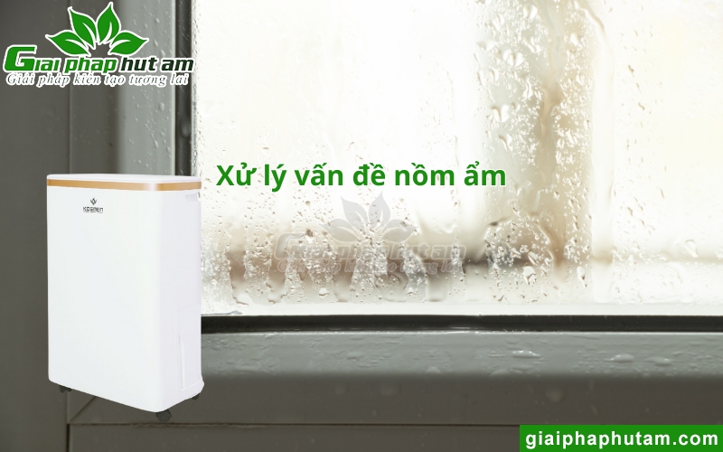 Máy Hút Ẩm Tại Lạng Sơn xử lý nồm ẩm
