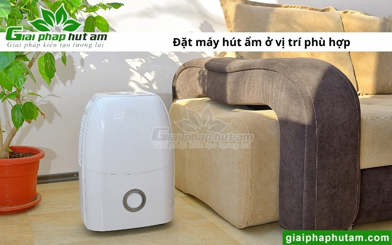 đặt Máy hút ẩm tại Vĩnh Phúc ở vị trí phù hợp