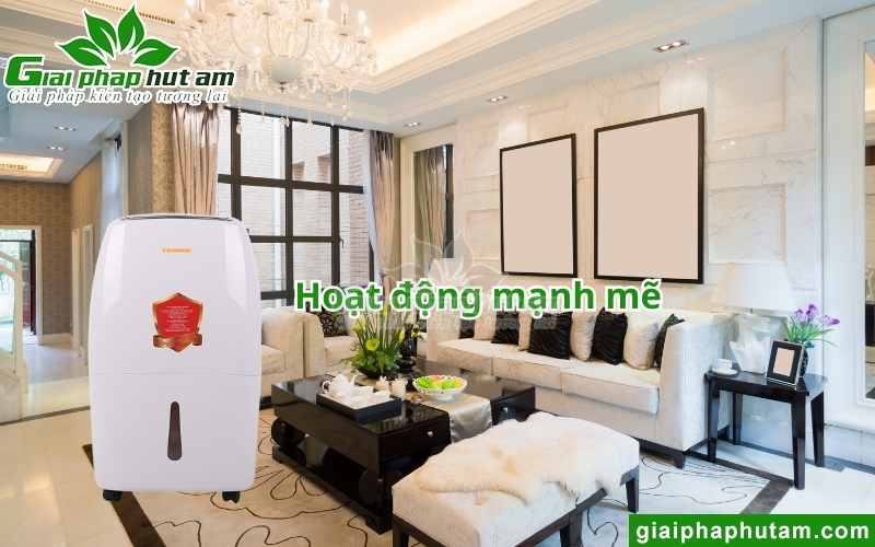 Máy hút ẩm Tiross có công suất lớn
