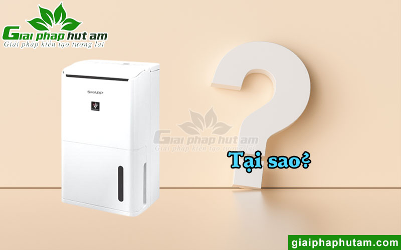 Tại sao nên lựa chọn giaiphaphutam.com?
