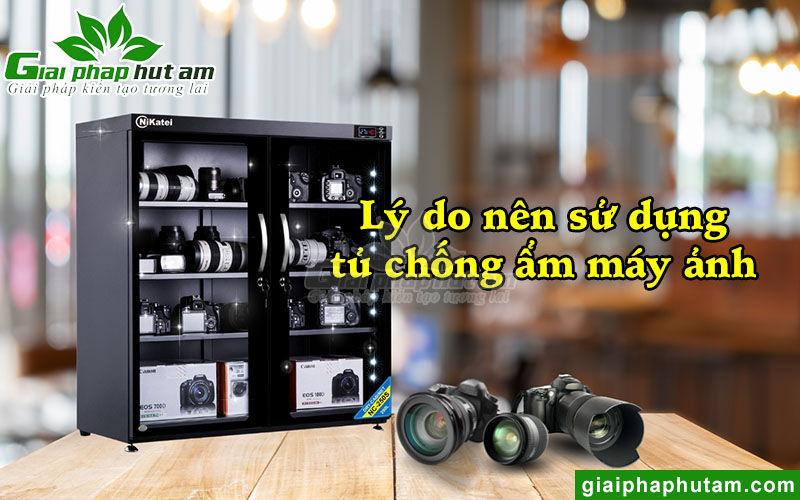 Tại sao nên trang bị tủ chống ẩm tại Gia Lai?