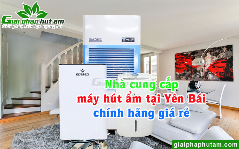Nhà cung cấp máy hút ẩm tại Yên Bái chính hãng