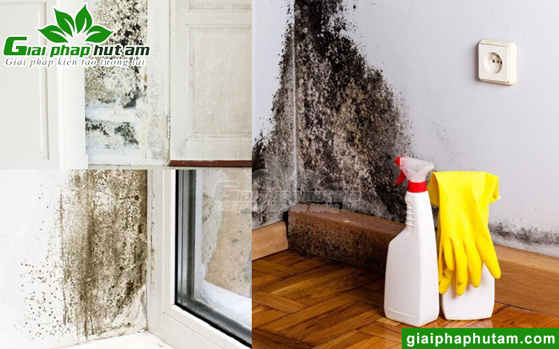 Cách chống nấm mốc hiệu quả