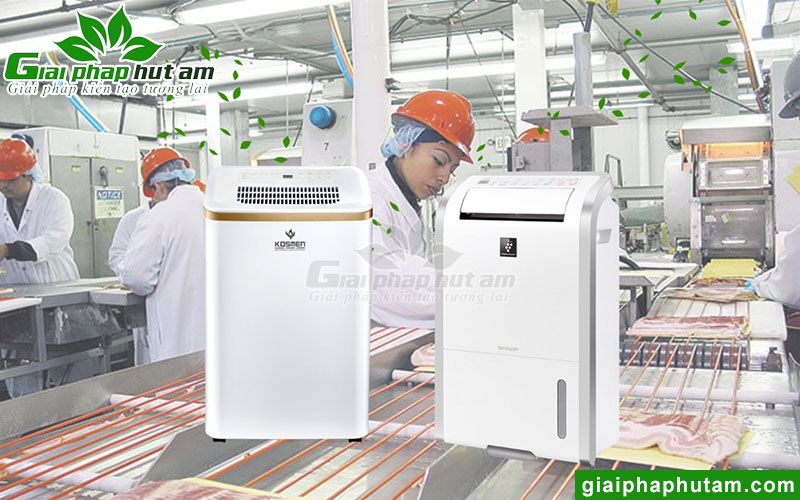 Tầm quan trọng của độ ẩm đến ngành sản xuất