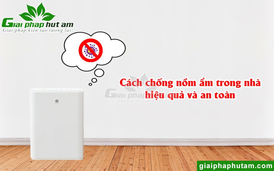 Cách chống nấm mốc trong nhà hiệu quả nhất