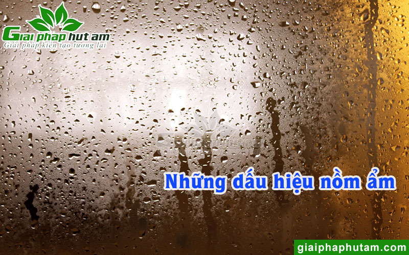 Dấu hiệu nồm ẩm