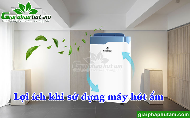 Lợi ích máy hút ẩm tại Thái Nguyên