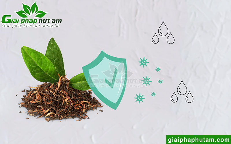 Phương pháp bảo quản trà