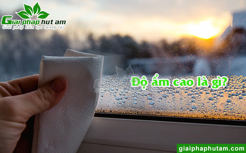 Độ ẩm cao là gì?