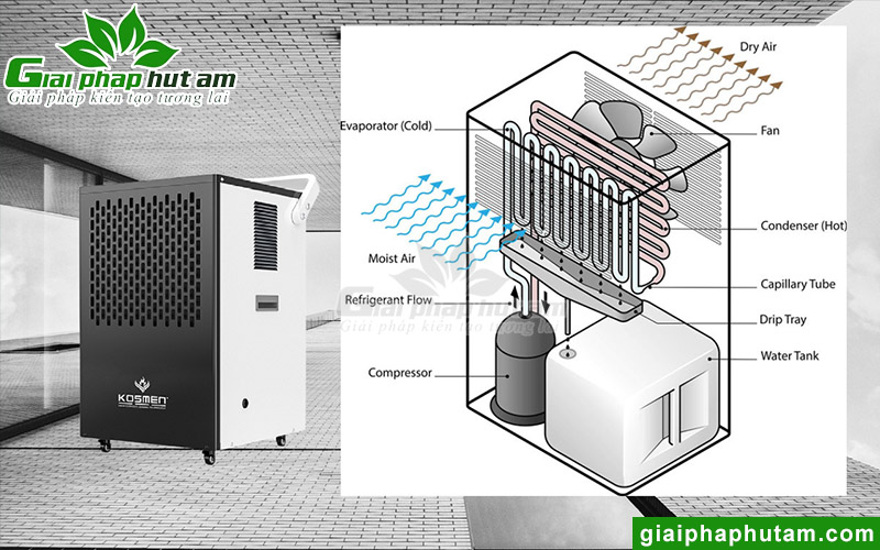 Cấu tạo máy hút ẩm công nghiệp 90l nguyên lý ngưng tụ lạnh