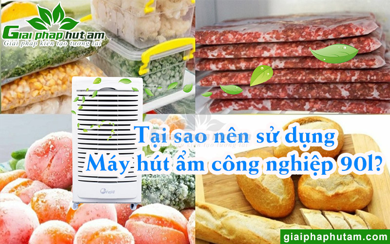 Lý do nên trang bị máy hút ẩm công nghiệp 90l
