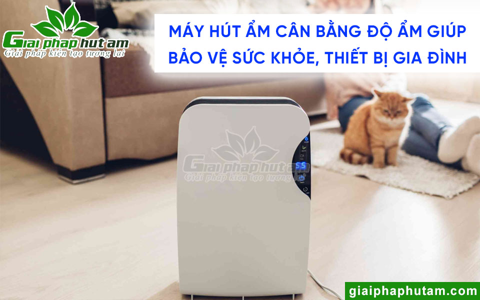 Máy hút ẩm cân bằng độ ẩm giúp bảo vệ sức khỏe, thiết bị điện trong nhà
