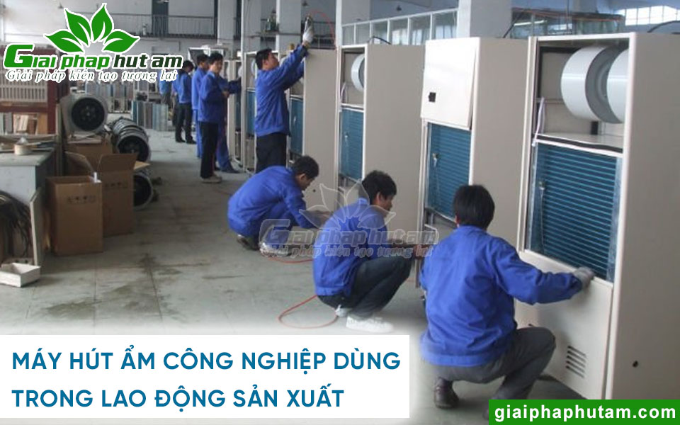Máy hút ẩm công nghiệp chuyên dùng trong sản xuất chế biến