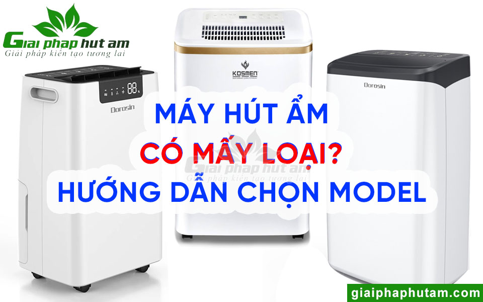 Máy hút ẩm có mấy loại? hướng dẫn chọn model phù hợp