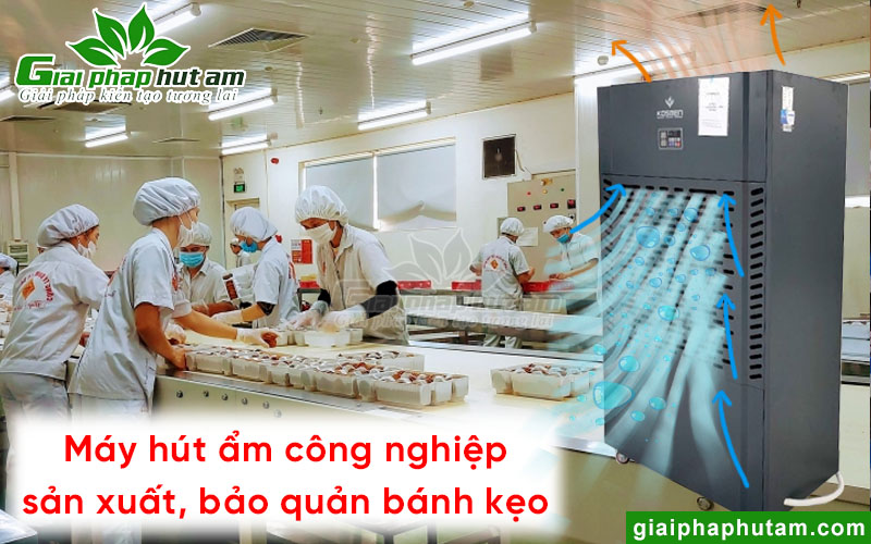Trang bị máy hút ẩm trong kho bảo quản bánh kẹo, thực phẩm khô