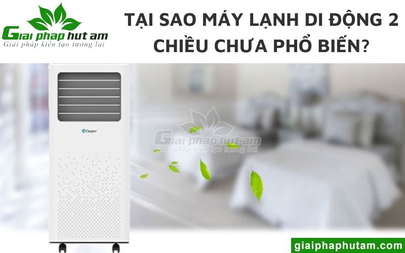 Tại sao máy lạnh di động 2 chiều chưa phổ biến bằng máy lạnh di động 1 chiều?