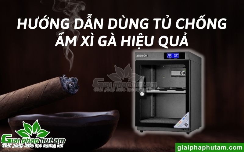 Hướng dẫn dùng tủ chống ẩm xì gà hiệu quả