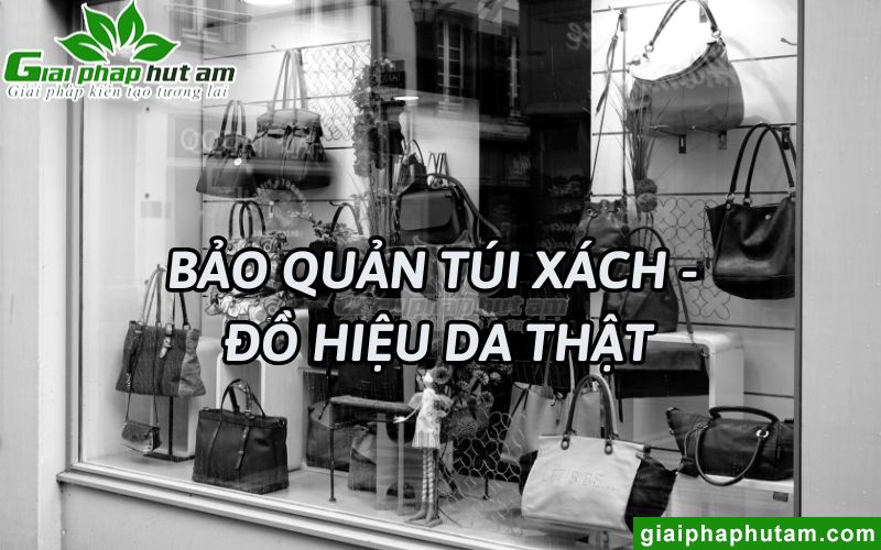 Điều kiện bảo quản túi xách, hàng hiệu da thật đúng cách