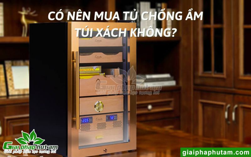 Có nên mua tủ chống ẩm túi xách không?