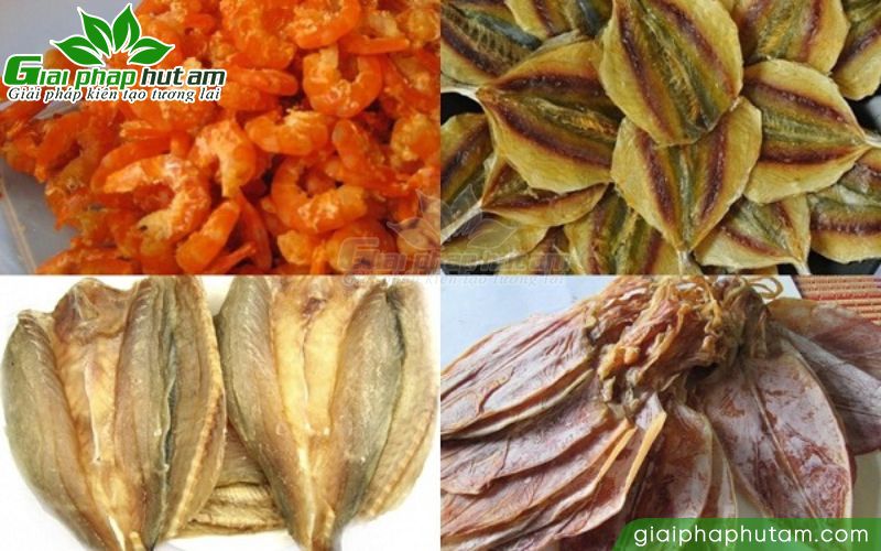 máy hút ẩm sấy và bảo quản tôm mực thịt cá khô