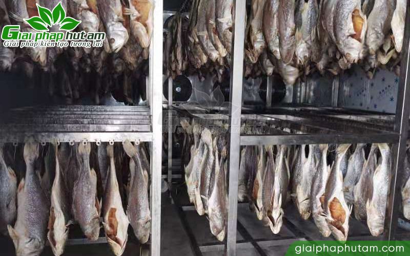 Mẹo chọn máy hút ẩm kiêm sấy tôm mực thịt cá khô phù hợp